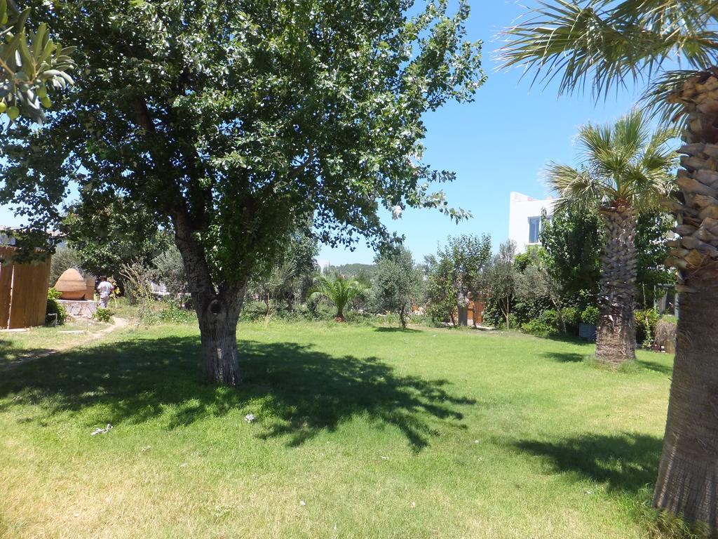 Aytas Hotel Ayvalı Εξωτερικό φωτογραφία